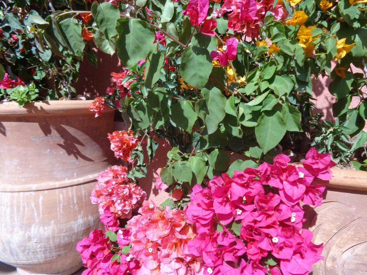 Riad Sesame Marrakesch Exterior foto