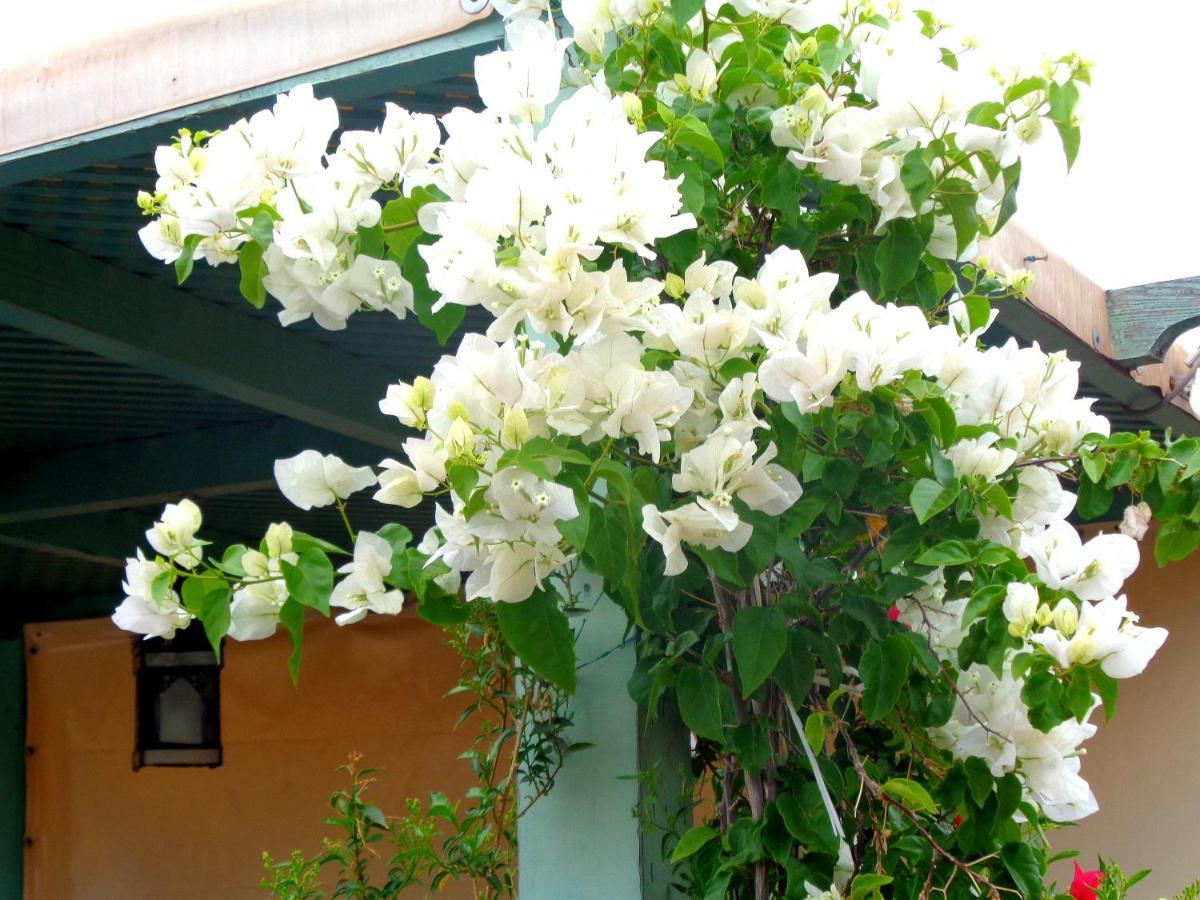 Riad Sesame Marrakesch Exterior foto